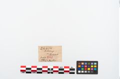 Etikett zu Perlenkette (NHMW-PRAE-024414)